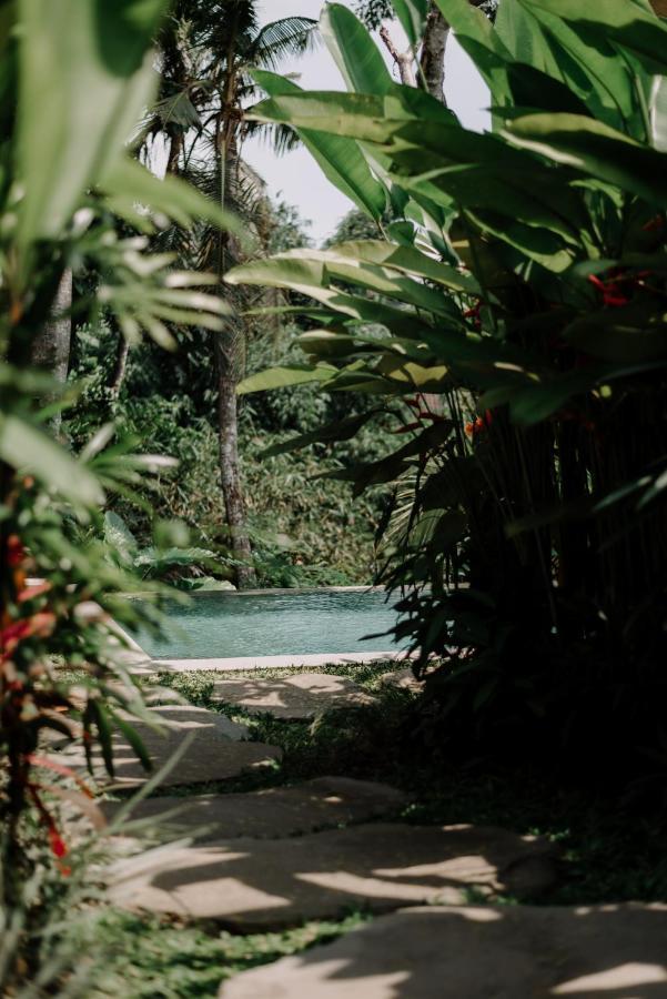 Villa Dharuna Ubud Exteriör bild